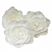 Klienci, których interesował ten produkt, oglądali też