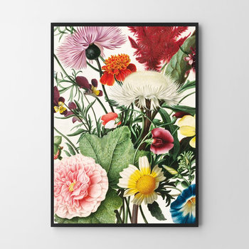 Kwiaty w kadrze 61x91cm - Hog Studio
