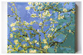 Kwitnący Migdałowiec Vincent Van Gogh Malowanie po numerach - Akrylowo