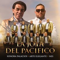 La Joya del Pacífico Sonora Palacios, NES, Arte Elegante