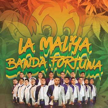 La Maliya - Banda Fortuna