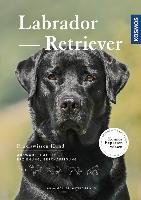 Labrador Retriever - Moller Anja, Braun Astrid