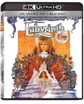 Labyrinth (brak polskiej wersji językowej) - Henson Jim