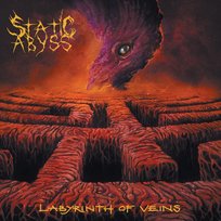 Labyrinth Of Veins Static Abyss