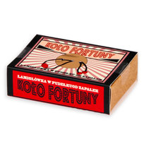 Łamigłówki, Koło fortuny, Professor Puzzle