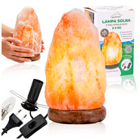 Lampa solna 2-3kg nocna lampka na biurko sól himalajska jonizator naturalny Ogrody Solne