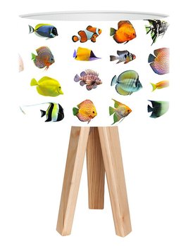 Lampa stołowa MACODESIGN Kolorowe rybki mini-foto-071, 60 W - MacoDesign