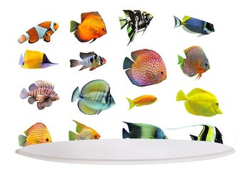 Lampa wisząca MACODESIGN Kolorowe rybki foto-071-40cm, 60 W - MacoDesign