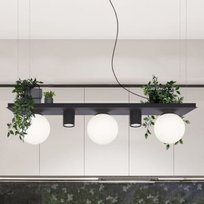 Lampa Wisząca Plant Shelf 5555 Zumaline Półka Na Rośliny Kule Czarne Białe