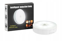 Lampka nocna LED z czujnikiem ruchu i zmierzchu USB Biały ciepły zimny 2w1