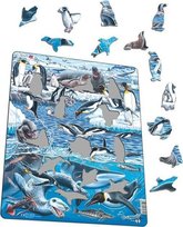 Larsen The Cold And Beautiful Antarctica (Maxi) Tactic