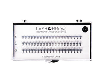 Lash Brow, jedwabne kępki do rzęs Spectacular Short, 60 szt. - Lash Brow