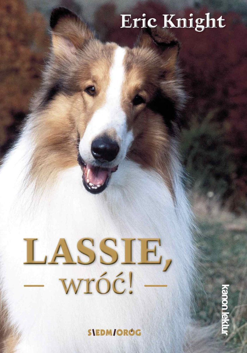 Lassie, wróć! - ebook epub