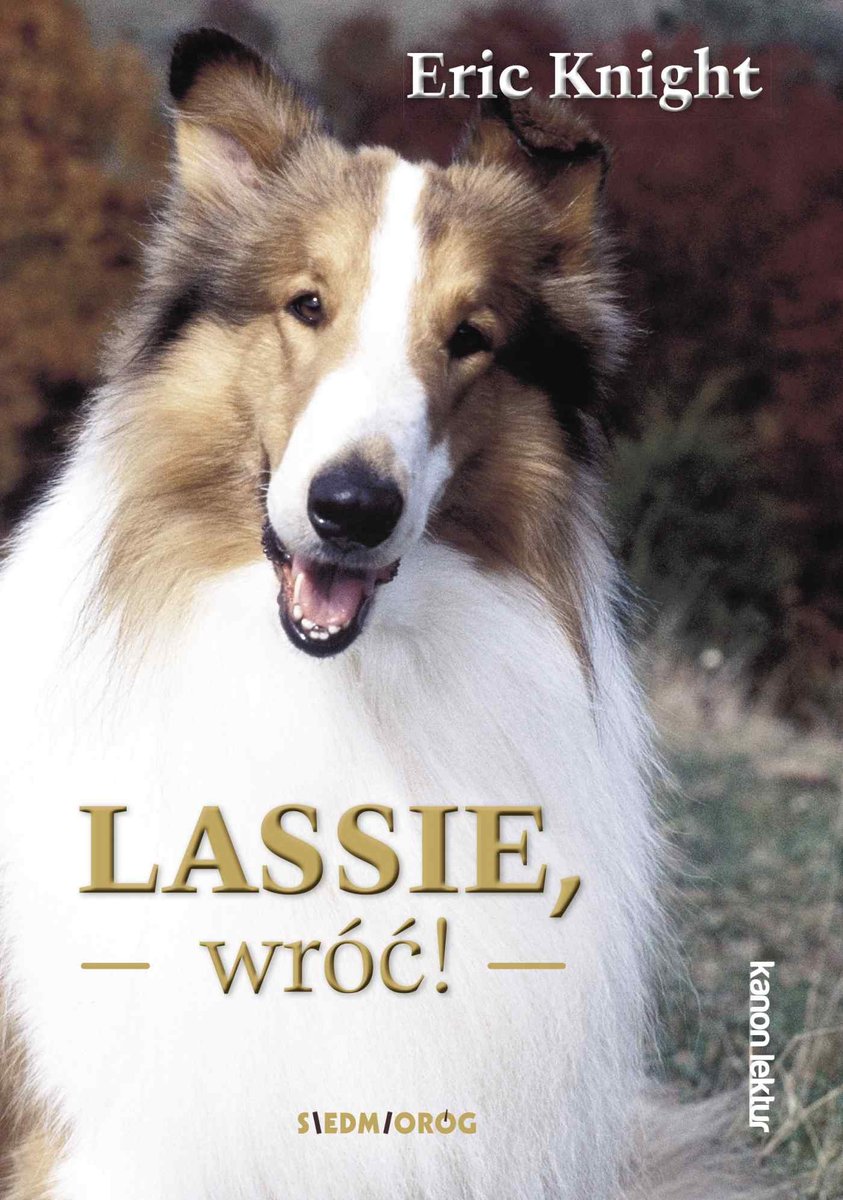 Lassie, wróć! - ebook mobi