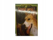 Lassie, wróć! Knight Eric