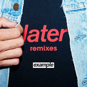 Later (Remixes) - Example