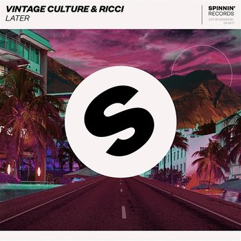 Later - Ricci & Vintage Culture