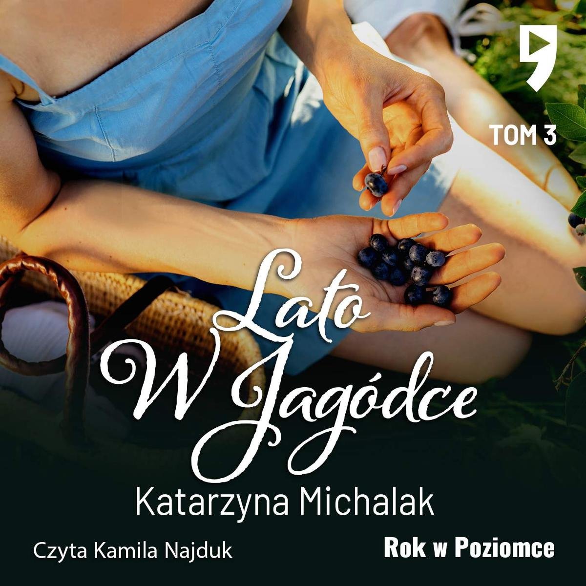 Lato W Jagódce Rok W Poziomce Tom 3 Michalak Katarzyna Audiobook Sklep Empikcom 4680