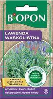Lawenda Wąskolistna - Nasiona