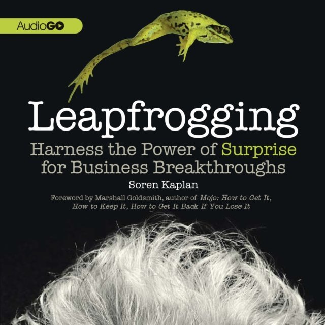 leapfrogging-soren-kaplan-audiobook-sklep-empik-com