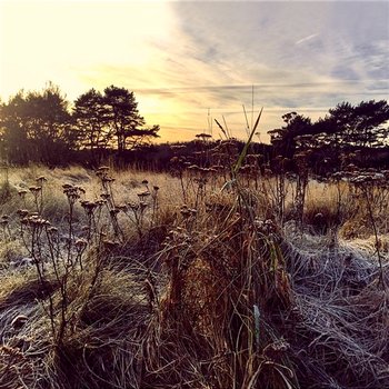 Leave Me Breathless - Ane Brun