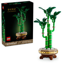 LEGO Botanicals, klocki, Dekoracyjna roślina Dracena sandera, 10344