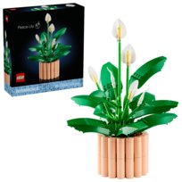 LEGO Botanicals, klocki, Skrzydłokwiat, 11504