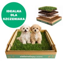 Legowisko/ Kuweta dla szczeniaka prawdziwa trawa 50×50cm