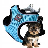 lekkie SZELKI dla małego psa XXS breeze blue