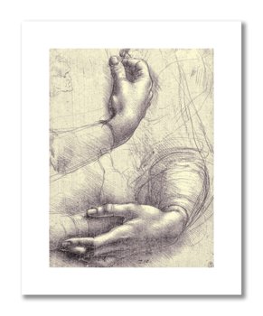 Leonardo da Vinci, plakat szkic anatomiczny 12 Plakaty medyczne - DEKORAMA