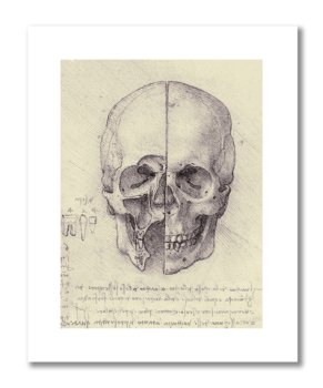 Leonardo da Vinci, plakat szkic anatomiczny 20 Plakaty medyczne - DEKORAMA