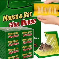 Lep Na Myszy Szczury Myszołapka Pułapka Klejowa Lepowa Gryzonie 31X21 50Szt