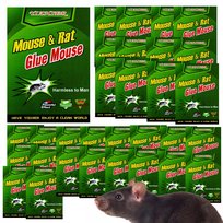 LEP NA MYSZY SZCZURY PUŁAPKA 30X ŁAPKA MYSZOŁAPKA SILNY MOCNY KLEJ AROMAT
