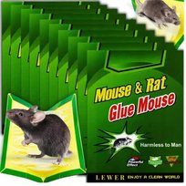 LEP NA MYSZY SZCZURY PUŁAPKA 60x ŁAPKA MYSZOŁAPKA SILNY MOCNY KLEJ AROMAT