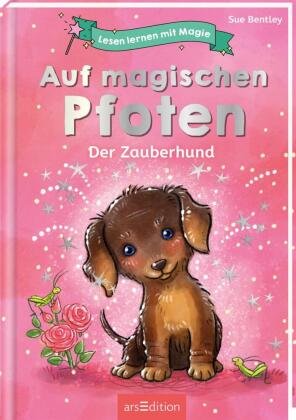 Lesen Lernen Mit Magie: Auf Magischen Pfoten - Ars Edition | Książka W ...