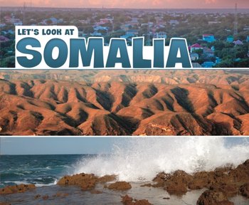 Lets Look at Somalia - A.M. Reynolds