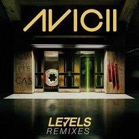 Levels Avicii