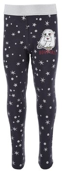 Licencjonowane Legginsy Dziewczęce Harry Potter - Kolor Szary - Sun City