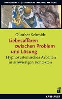 Liebesaffären zwischen Problem und Lösung - Schmidt Gunther