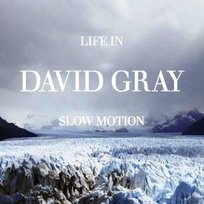Life In Slow Motion Gray David