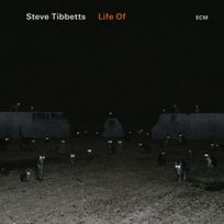 Life Of Tibbetts Steve