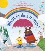 Lift-the-Flap First Questions and Answers What Makes it Rain? Daynes Katie, Pym Christine