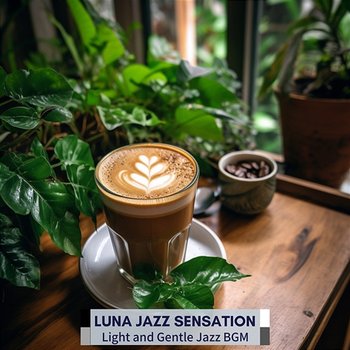 Light and Gentle Jazz Bgm - Luna Jazz Sensation