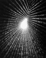 Light Lines: The Architectural Photographs of Helene Binet Pallasmaa Juhani, Vicky Richardson