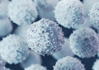 Limfocyty – funkcja, normy limfocytów, badania 
