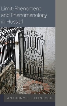 Limit-Phenomena and Phenomenology in Husserl - Steinbock Anthony J