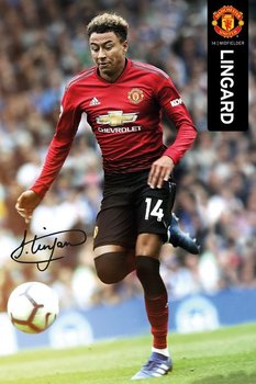 LINGARD plakat 61x91cm - GB eye