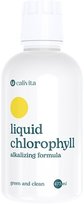 Liquid Chlorophyll Calivita 473 ml