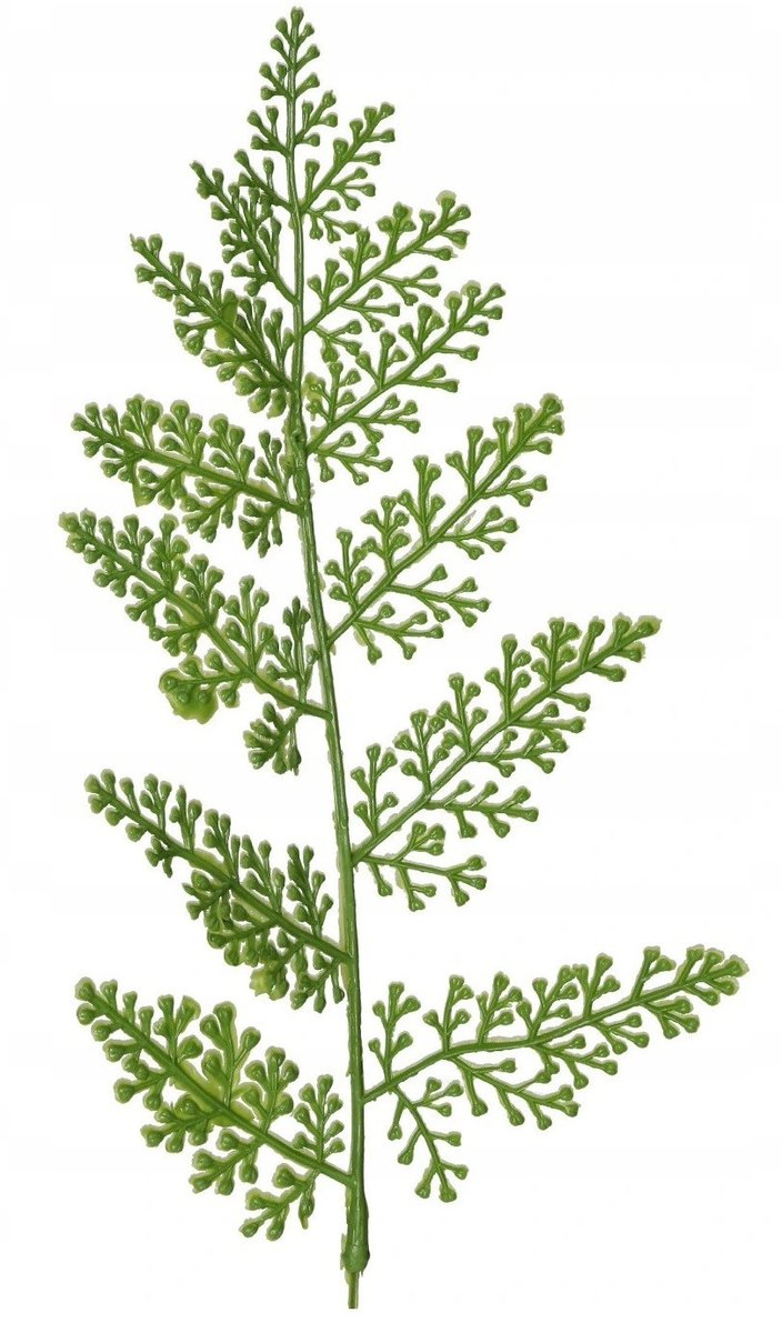 Liść Liście Sylikonowe Gałązki Gałązka Zielona - Inny producent | Sklep ...