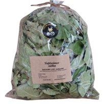 Liście jabłoni dla królika i gryzoni